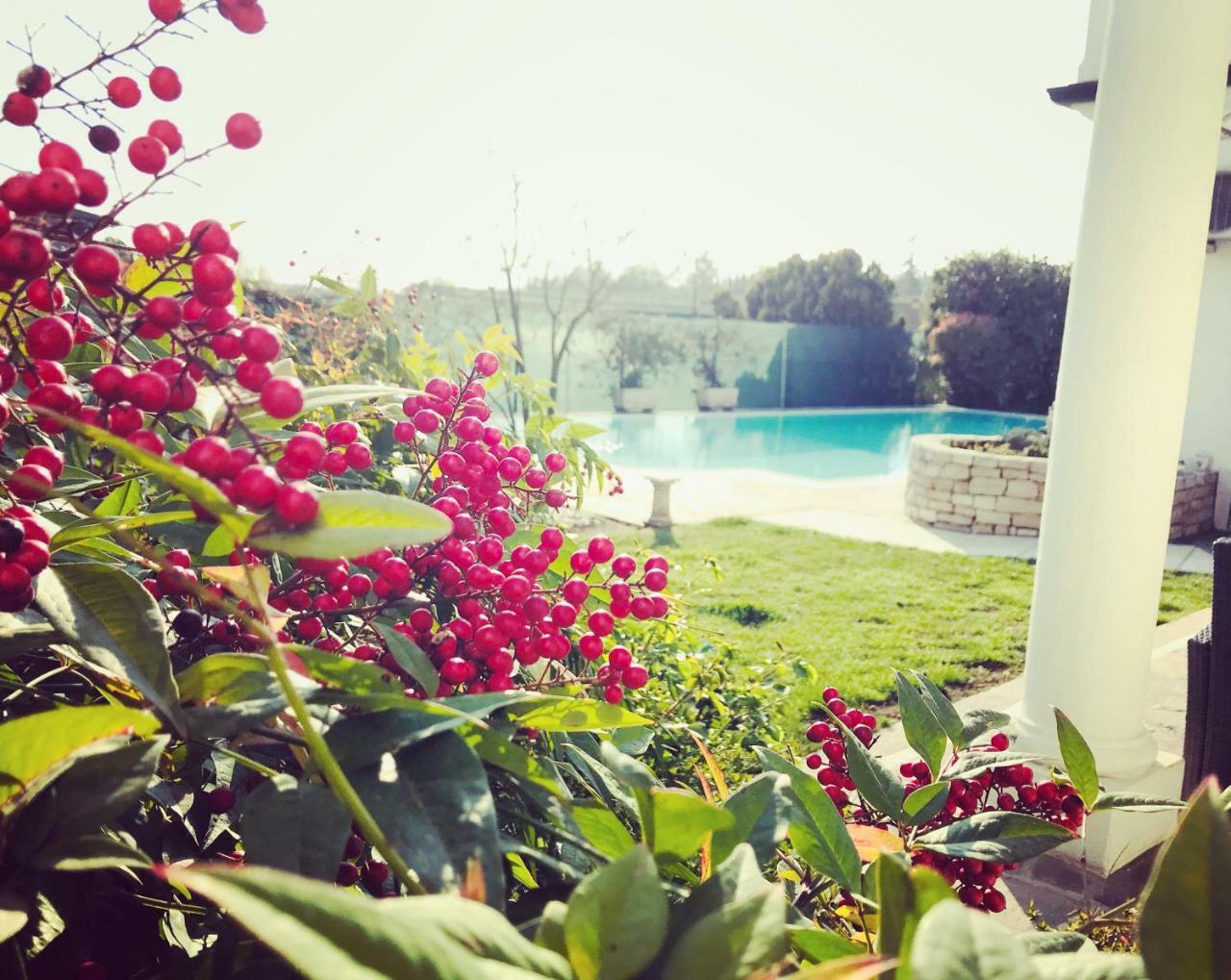 Maison Fortune Castelnuovo del Garda Bagian luar foto